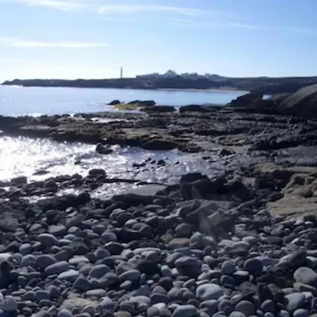 Lejlighed Ocean View *